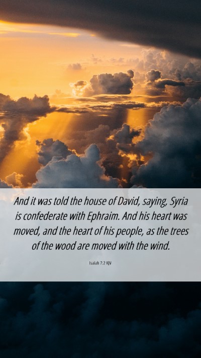 Picture 06 - Isaiah 7:2 KJV Mobile Phone Wallpaper - And it was told the house of David, saying, Syria - Mobile Bible Verse Wallpaper