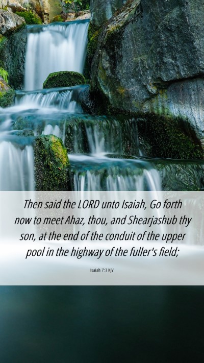 Picture 06 - Isaiah 7:3 KJV Mobile Phone Wallpaper - Then said the LORD unto Isaiah, Go forth now to - Mobile Bible Verse Wallpaper