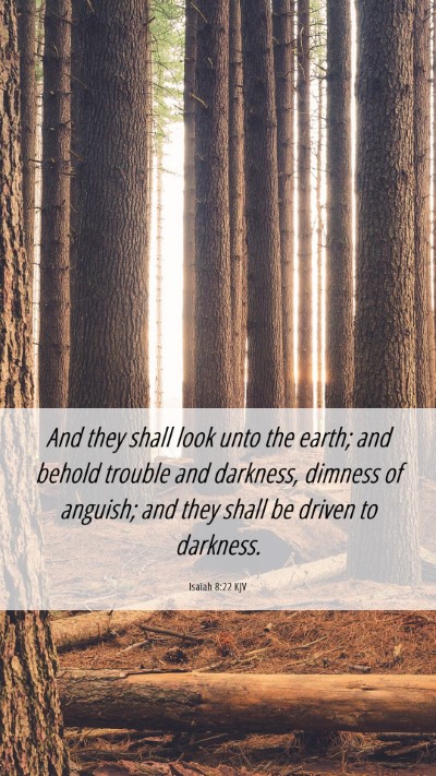 Picture 06 - Isaiah 8:22 KJV Mobile Phone Wallpaper - And they shall look unto the earth; and behold - Mobile Bible Verse Wallpaper