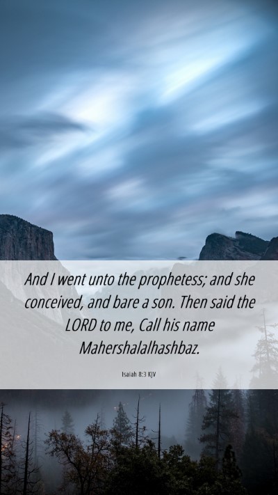 Picture 06 - Isaiah 8:3 KJV Mobile Phone Wallpaper - And I went unto the prophetess; and she - Mobile Bible Verse Wallpaper