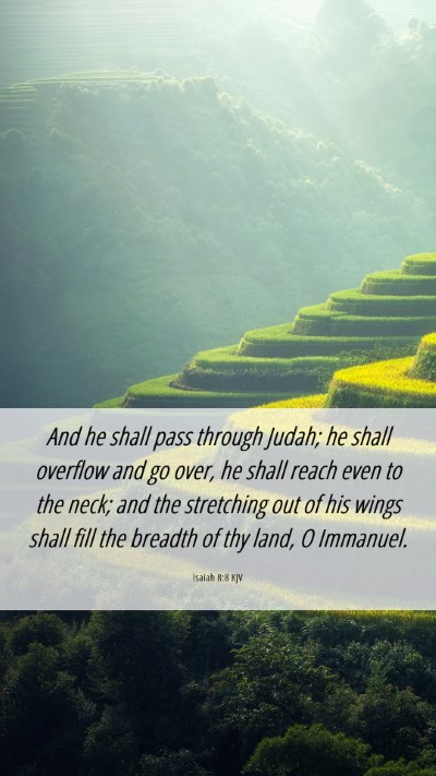 Picture 06 - Isaiah 8:8 KJV Mobile Phone Wallpaper - And he shall pass through Judah; he shall - Mobile Bible Verse Wallpaper
