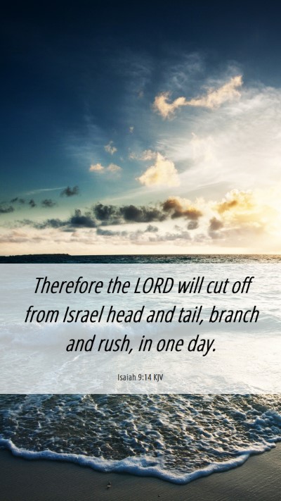 Picture 06 - Isaiah 9:14 KJV Mobile Phone Wallpaper - Therefore the LORD will cut off from Israel head - Mobile Bible Verse Wallpaper