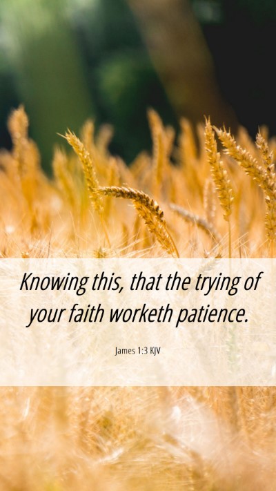 Picture 06 - James 1:3 KJV Mobile Phone Wallpaper - Knowing this, that the trying of your faith - Mobile Bible Verse Wallpaper