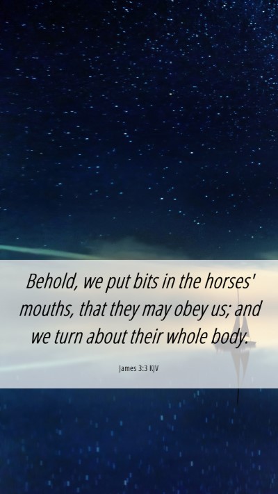 Picture 06 - James 3:3 KJV Mobile Phone Wallpaper - Behold, we put bits in the horses' mouths, that - Mobile Bible Verse Wallpaper
