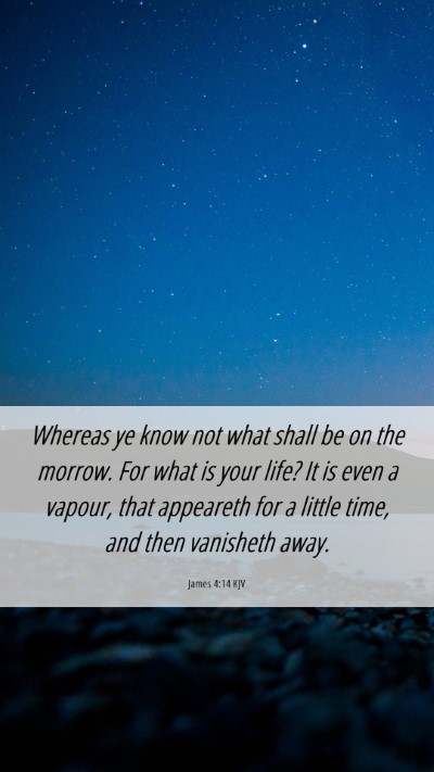Picture 06 - James 4:14 KJV Mobile Phone Wallpaper - Whereas ye know not what shall be on the morrow. - Mobile Bible Verse Wallpaper