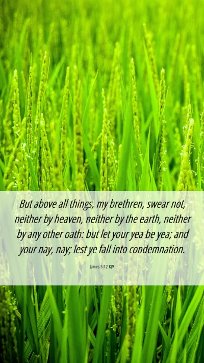 Picture 06 - James 5:12 KJV Mobile Phone Wallpaper - But above all things, my brethren, swear not, - Mobile Bible Verse Wallpaper
