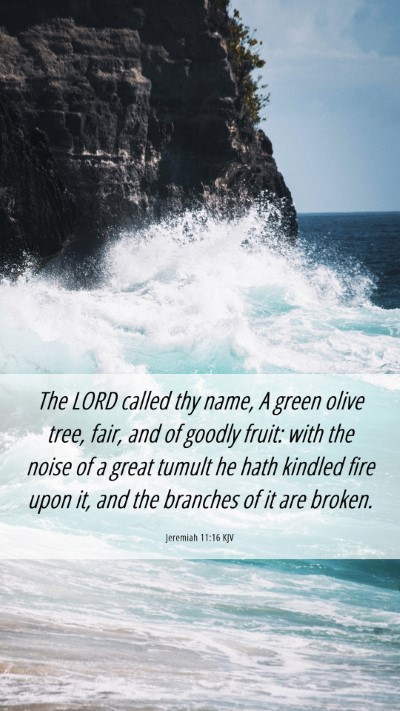 Picture 06 - Jeremiah 11:16 KJV Mobile Phone Wallpaper - The LORD called thy name, A green olive tree, - Mobile Bible Verse Wallpaper