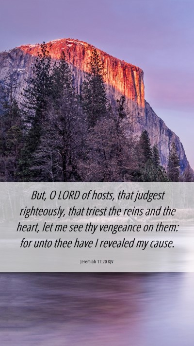 Picture 06 - Jeremiah 11:20 KJV Mobile Phone Wallpaper - But, O LORD of hosts, that judgest righteously, - Mobile Bible Verse Wallpaper