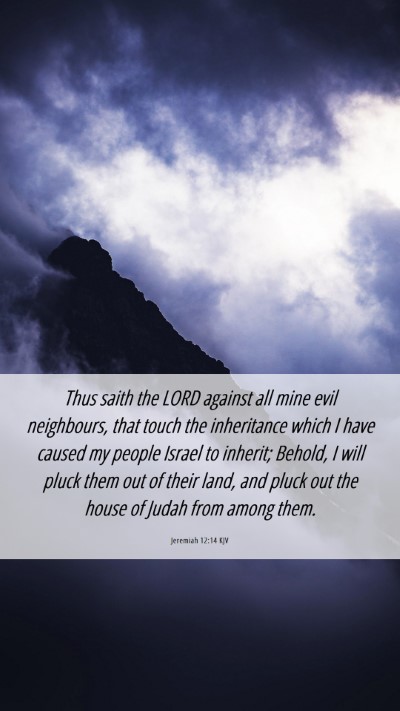 Picture 06 - Jeremiah 12:14 KJV Mobile Phone Wallpaper - Thus saith the LORD against all mine evil - Mobile Bible Verse Wallpaper