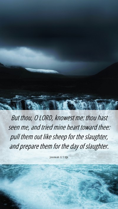 Picture 06 - Jeremiah 12:3 KJV Mobile Phone Wallpaper - But thou, O LORD, knowest me: thou hast seen me, - Mobile Bible Verse Wallpaper
