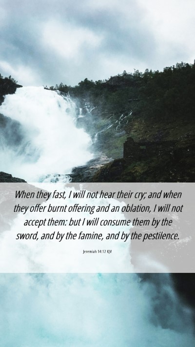 Picture 06 - Jeremiah 14:12 KJV Mobile Phone Wallpaper - When they fast, I will not hear their cry; and - Mobile Bible Verse Wallpaper