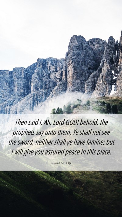 Picture 06 - Jeremiah 14:13 KJV Mobile Phone Wallpaper - Then said I, Ah, Lord GOD! behold, the prophets - Mobile Bible Verse Wallpaper
