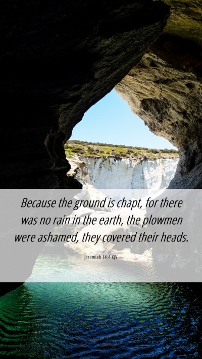 Picture 06 - Jeremiah 14:4 KJV Mobile Phone Wallpaper - Because the ground is chapt, for there was no - Mobile Bible Verse Wallpaper