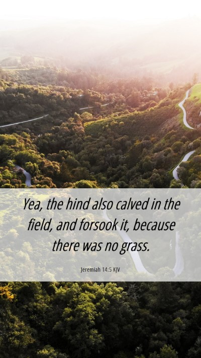 Picture 06 - Jeremiah 14:5 KJV Mobile Phone Wallpaper - Yea, the hind also calved in the field, and - Mobile Bible Verse Wallpaper