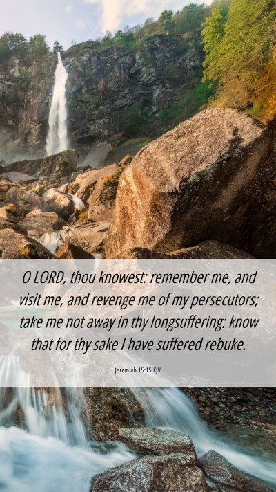 Picture 06 - Jeremiah 15:15 KJV Mobile Phone Wallpaper - O LORD, thou knowest: remember me, and visit me, - Mobile Bible Verse Wallpaper