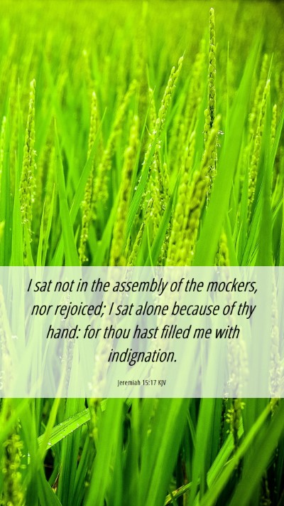 Picture 06 - Jeremiah 15:17 KJV Mobile Phone Wallpaper - I sat not in the assembly of the mockers, nor - Mobile Bible Verse Wallpaper