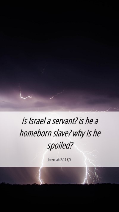 Picture 06 - Jeremiah 2:14 KJV Mobile Phone Wallpaper - Is Israel a servant? is he a homeborn slave? why - Mobile Bible Verse Wallpaper