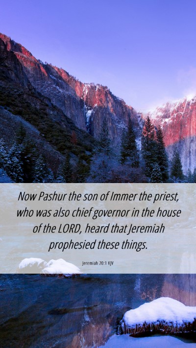 Picture 06 - Jeremiah 20:1 KJV Mobile Phone Wallpaper - Now Pashur the son of Immer the priest, who was - Mobile Bible Verse Wallpaper