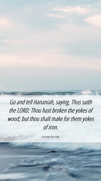Picture 06 - Jeremiah 28:13 KJV Mobile Phone Wallpaper - Go and tell Hananiah, saying, Thus saith the - Mobile Bible Verse Wallpaper