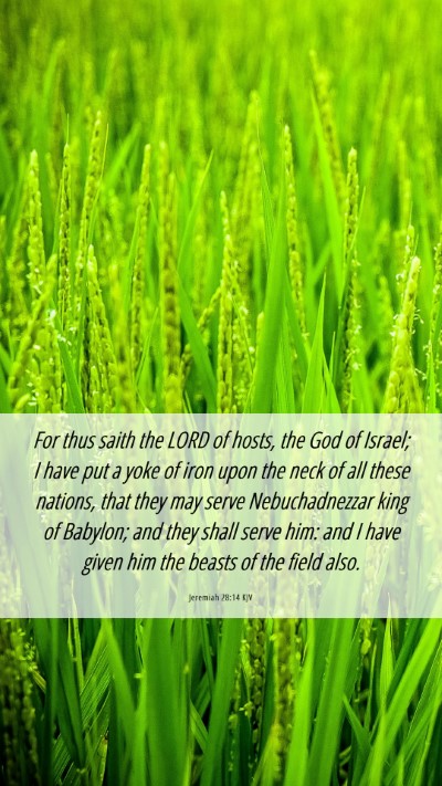 Picture 06 - Jeremiah 28:14 KJV Mobile Phone Wallpaper - For thus saith the LORD of hosts, the God of - Mobile Bible Verse Wallpaper