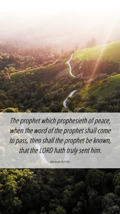 Picture 06 - Jeremiah 28:9 KJV Mobile Phone Wallpaper - The prophet which prophesieth of peace, when the - Mobile Bible Verse Wallpaper