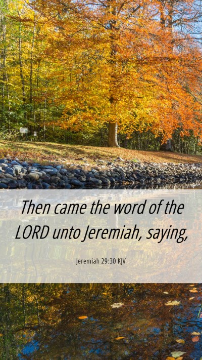 Picture 06 - Jeremiah 29:30 KJV Mobile Phone Wallpaper - Then came the word of the LORD unto Jeremiah, - Mobile Bible Verse Wallpaper