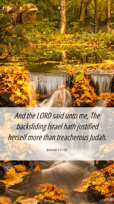 Picture 06 - Jeremiah 3:11 KJV Mobile Phone Wallpaper - And the LORD said unto me, The backsliding Israel - Mobile Bible Verse Wallpaper