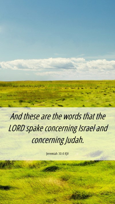 Picture 06 - Jeremiah 30:4 KJV Mobile Phone Wallpaper - And these are the words that the LORD spake - Mobile Bible Verse Wallpaper