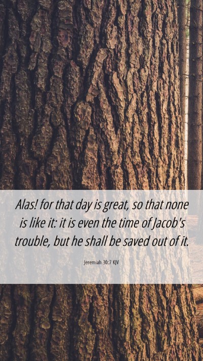 Picture 06 - Jeremiah 30:7 KJV Mobile Phone Wallpaper - Alas! for that day is great, so that none is like - Mobile Bible Verse Wallpaper