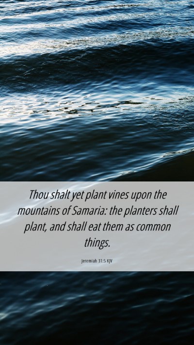 Picture 06 - Jeremiah 31:5 KJV Mobile Phone Wallpaper - Thou shalt yet plant vines upon the mountains of - Mobile Bible Verse Wallpaper