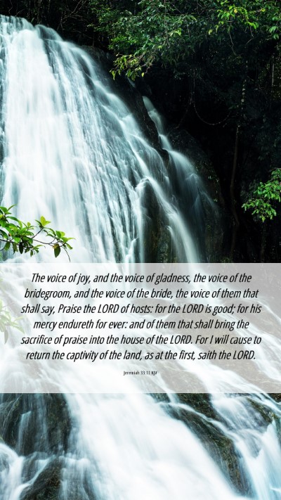 Picture 06 - Jeremiah 33:11 KJV Mobile Phone Wallpaper - The voice of joy, and the voice of gladness, the - Mobile Bible Verse Wallpaper