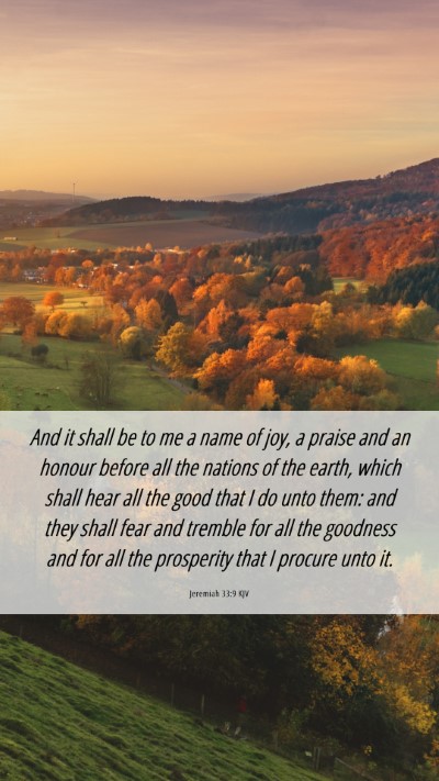 Picture 06 - Jeremiah 33:9 KJV Mobile Phone Wallpaper - And it shall be to me a name of joy, a praise and - Mobile Bible Verse Wallpaper