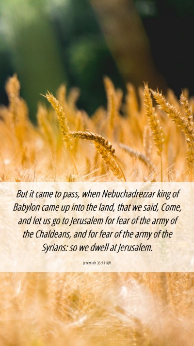 Picture 06 - Jeremiah 35:11 KJV Mobile Phone Wallpaper - But it came to pass, when Nebuchadrezzar king of - Mobile Bible Verse Wallpaper