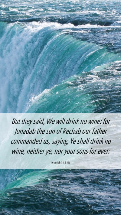 Picture 06 - Jeremiah 35:6 KJV Mobile Phone Wallpaper - But they said, We will drink no wine: for Jonadab - Mobile Bible Verse Wallpaper