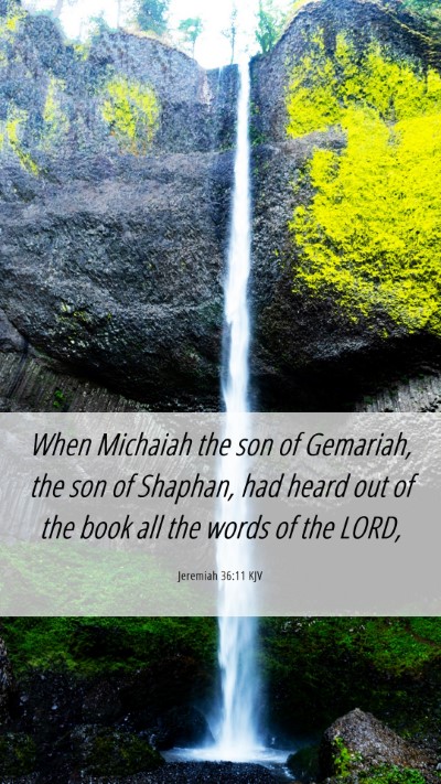 Picture 06 - Jeremiah 36:11 KJV Mobile Phone Wallpaper - When Michaiah the son of Gemariah, the son of - Mobile Bible Verse Wallpaper