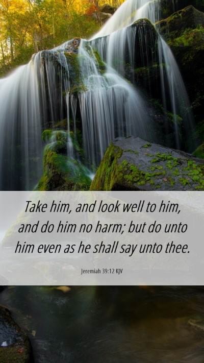 Picture 06 - Jeremiah 39:12 KJV Mobile Phone Wallpaper - Take him, and look well to him, and do him no - Mobile Bible Verse Wallpaper