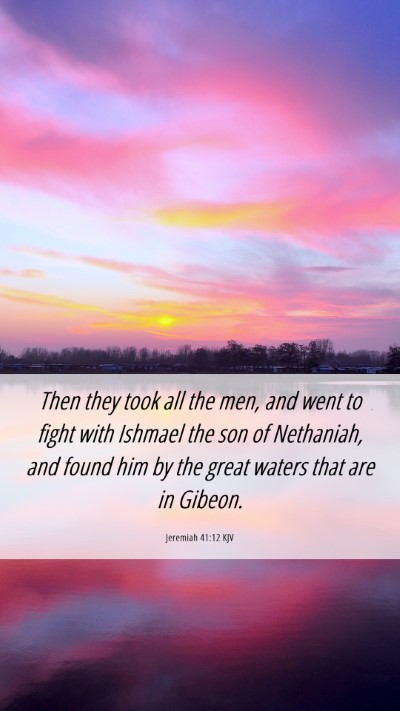 Picture 06 - Jeremiah 41:12 KJV Mobile Phone Wallpaper - Then they took all the men, and went to fight - Mobile Bible Verse Wallpaper