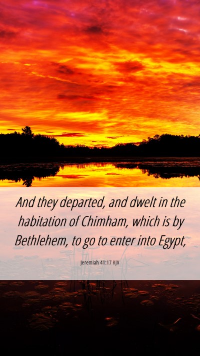 Picture 06 - Jeremiah 41:17 KJV Mobile Phone Wallpaper - And they departed, and dwelt in the habitation of - Mobile Bible Verse Wallpaper