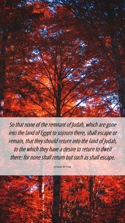 Picture 06 - Jeremiah 44:14 KJV Mobile Phone Wallpaper - So that none of the remnant of Judah, which are - Mobile Bible Verse Wallpaper