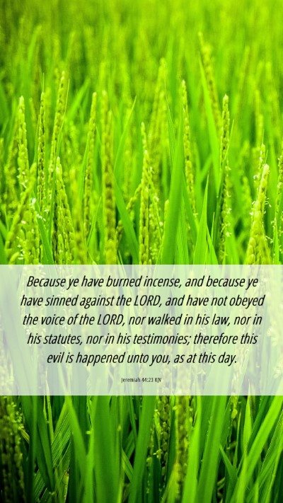 Picture 06 - Jeremiah 44:23 KJV Mobile Phone Wallpaper - Because ye have burned incense, and because ye - Mobile Bible Verse Wallpaper