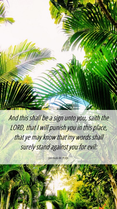 Picture 06 - Jeremiah 44:29 KJV Mobile Phone Wallpaper - And this shall be a sign unto you, saith the - Mobile Bible Verse Wallpaper