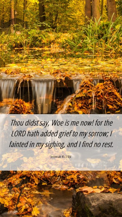 Picture 06 - Jeremiah 45:3 KJV Mobile Phone Wallpaper - Thou didst say, Woe is me now! for the LORD hath - Mobile Bible Verse Wallpaper