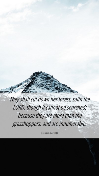 Picture 06 - Jeremiah 46:23 KJV Mobile Phone Wallpaper - They shall cut down her forest, saith the LORD, - Mobile Bible Verse Wallpaper