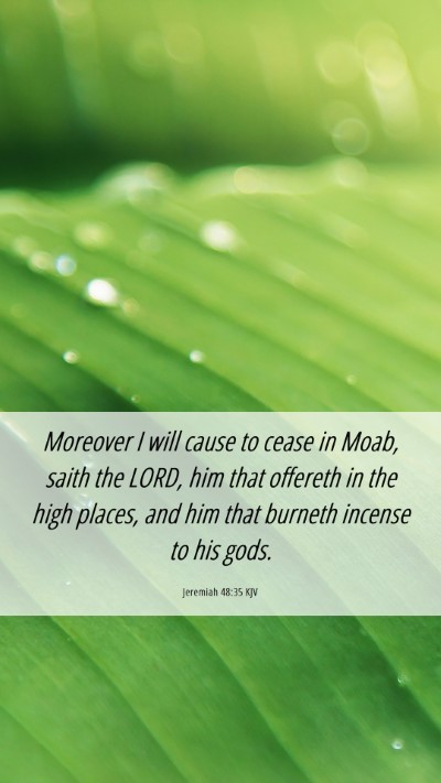 Picture 06 - Jeremiah 48:35 KJV Mobile Phone Wallpaper - Moreover I will cause to cease in Moab, saith the - Mobile Bible Verse Wallpaper