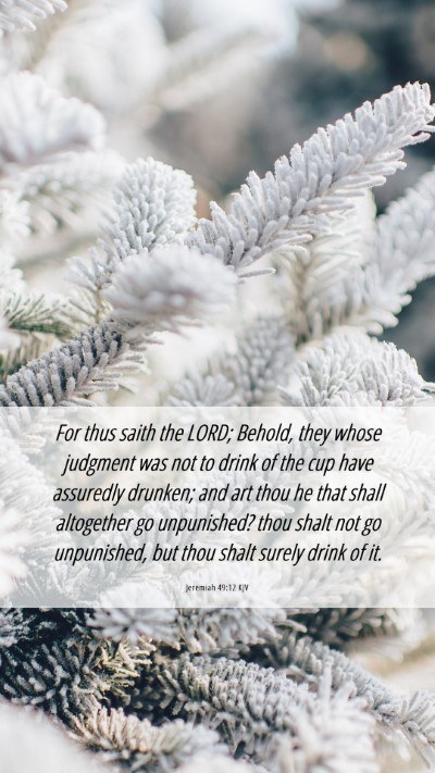 Picture 06 - Jeremiah 49:12 KJV Mobile Phone Wallpaper - For thus saith the LORD; Behold, they whose - Mobile Bible Verse Wallpaper