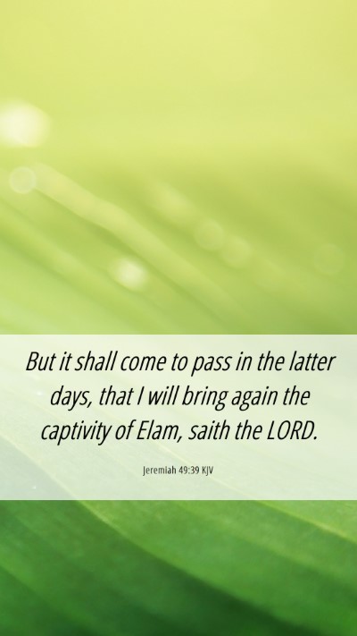 Picture 06 - Jeremiah 49:39 KJV Mobile Phone Wallpaper - But it shall come to pass in the latter days, - Mobile Bible Verse Wallpaper