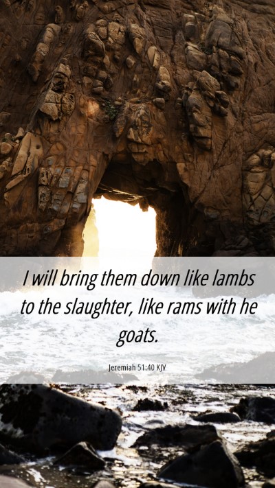 Picture 06 - Jeremiah 51:40 KJV Mobile Phone Wallpaper - I will bring them down like lambs to the - Mobile Bible Verse Wallpaper