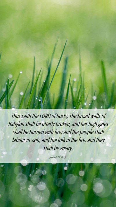 Picture 06 - Jeremiah 51:58 KJV Mobile Phone Wallpaper - Thus saith the LORD of hosts; The broad walls of - Mobile Bible Verse Wallpaper