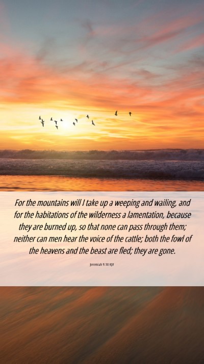 Picture 06 - Jeremiah 9:10 KJV Mobile Phone Wallpaper - For the mountains will I take up a weeping and - Mobile Bible Verse Wallpaper