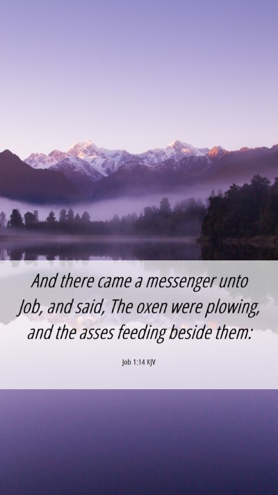 Picture 06 - Job 1:14 KJV Mobile Phone Wallpaper - And there came a messenger unto Job, and said, - Mobile Bible Verse Wallpaper